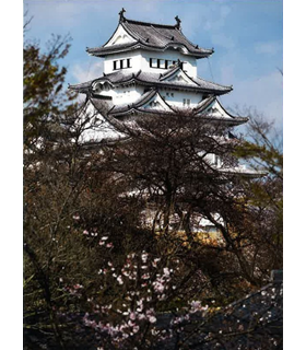 デジタルはじめました、さんの写真作品4です。春のやわらかな日差しの中に、悠然とそびえ立つ姫路城が映し出されています。