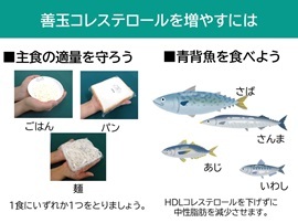 善玉コレステロールを増やす方法について、紹介をしている画像です。 善玉コレステロールは、「ごはん・パン・麺」などの主食を適量摂取したり、「さば・さんま・あじ・いわし」などの、青魚を食べることで、増やすことができます。さらに「青魚」はHDLコレステロールの値を下げずに、中性脂肪を減少させることができます。