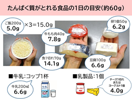 「たんぱく質が摂れる食品の1日の目安量(約60グラム)」について解説をしている画像です。 (1)ごはん15グラム(2)牛もも肉7.8グラム(3)魚14.1グラム(4)卵6.2グラム(5)豆腐6.6グラム(6)牛乳6.6グラム(7)乳製品(チーズ1切れ、またはヨーグルト1個)4グラム