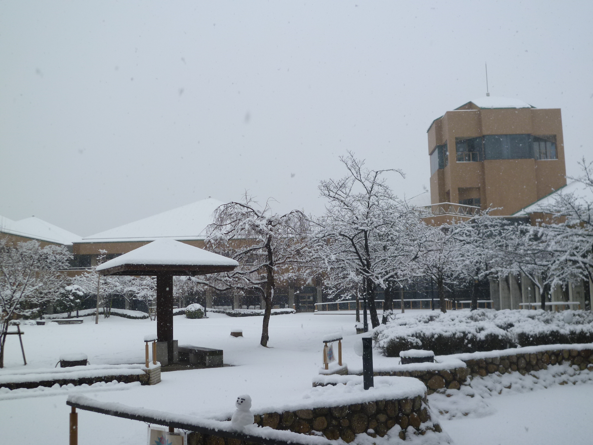 岡山ふれあいセンターが雪で真っ白になった写真