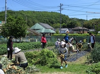 ひらつっ子児童クラブ屋外活動の様子