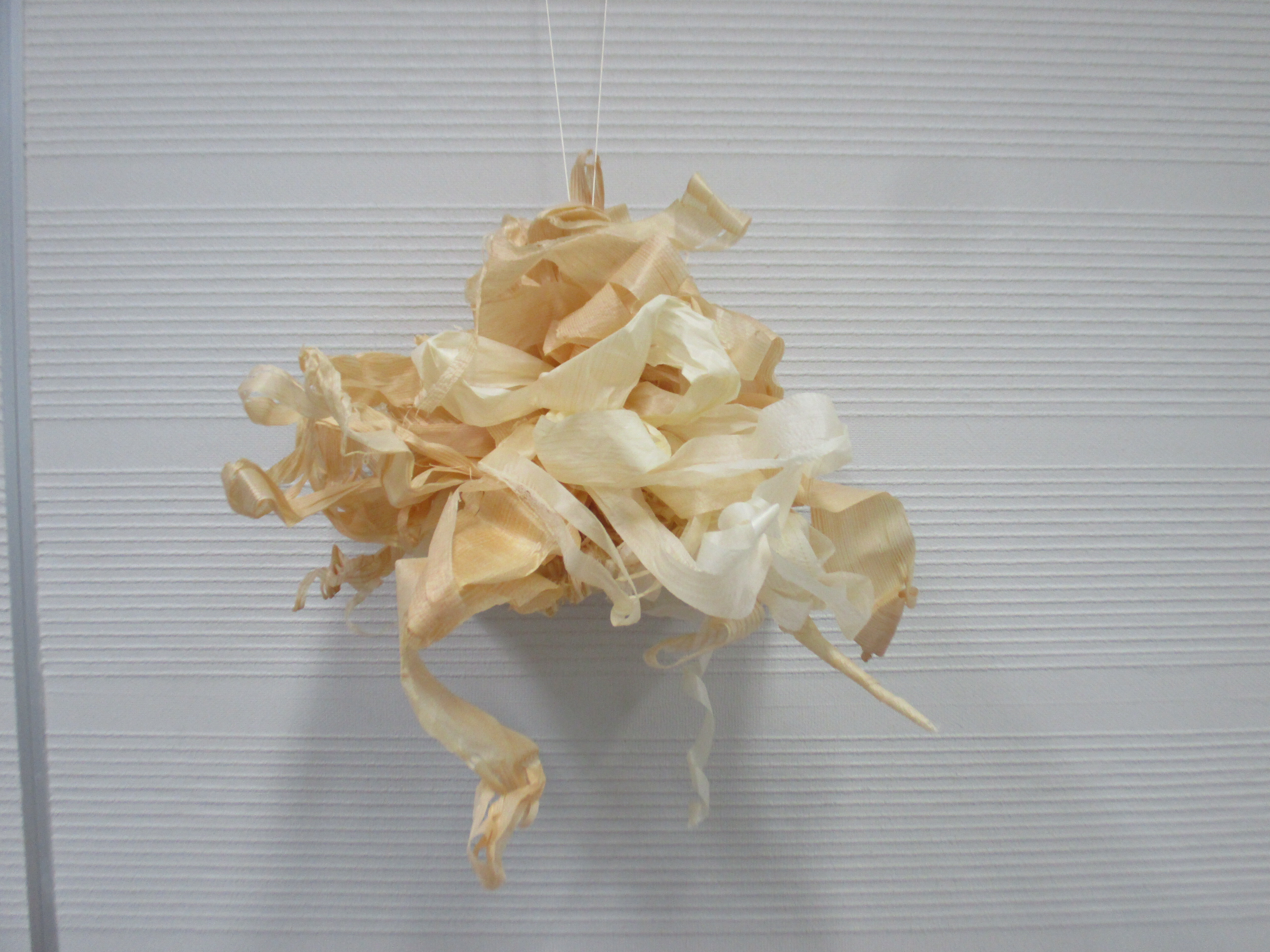 かんなボールの写真