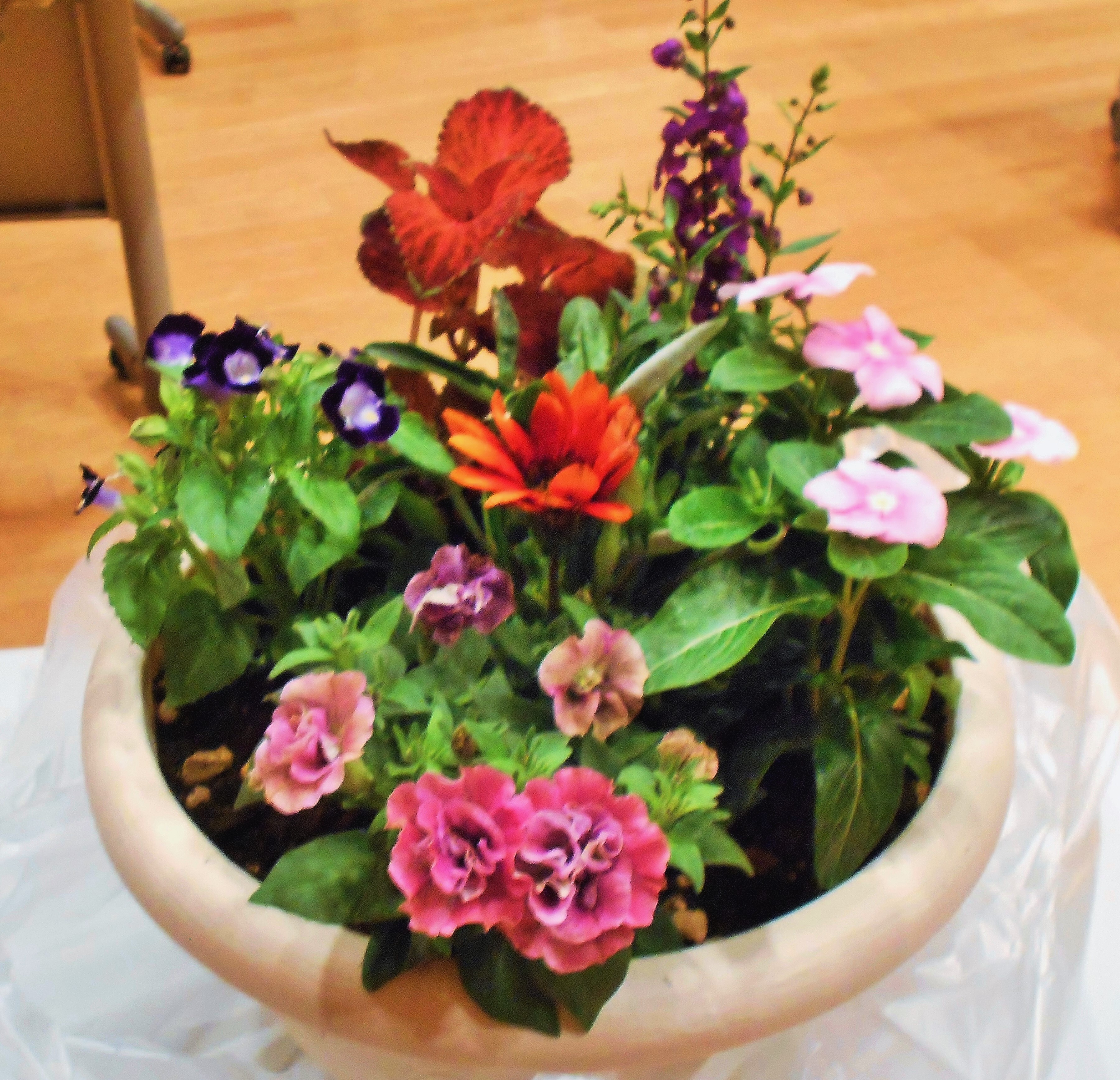 季節の園芸教室の作品