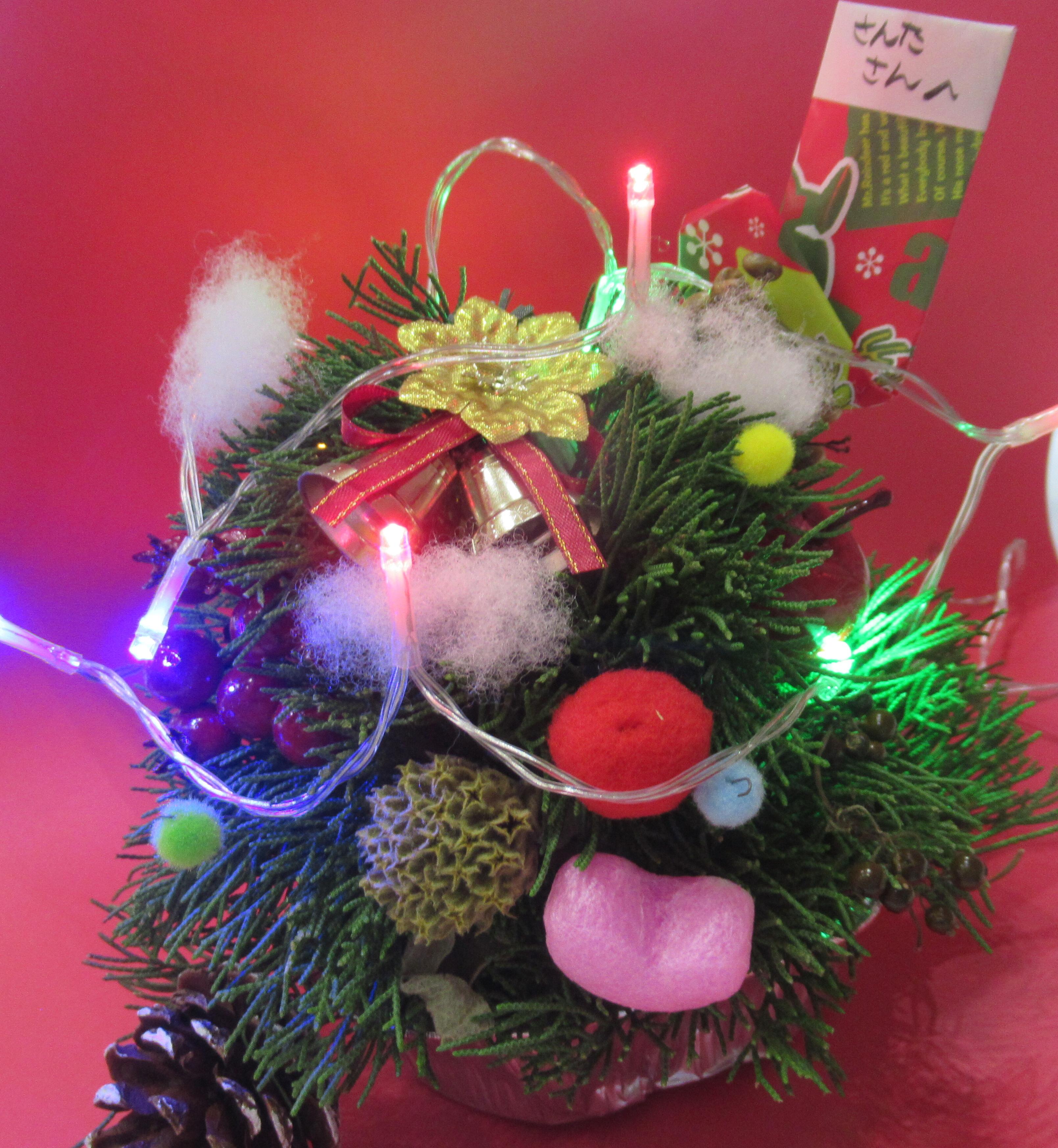 クリスマスフラワー写真