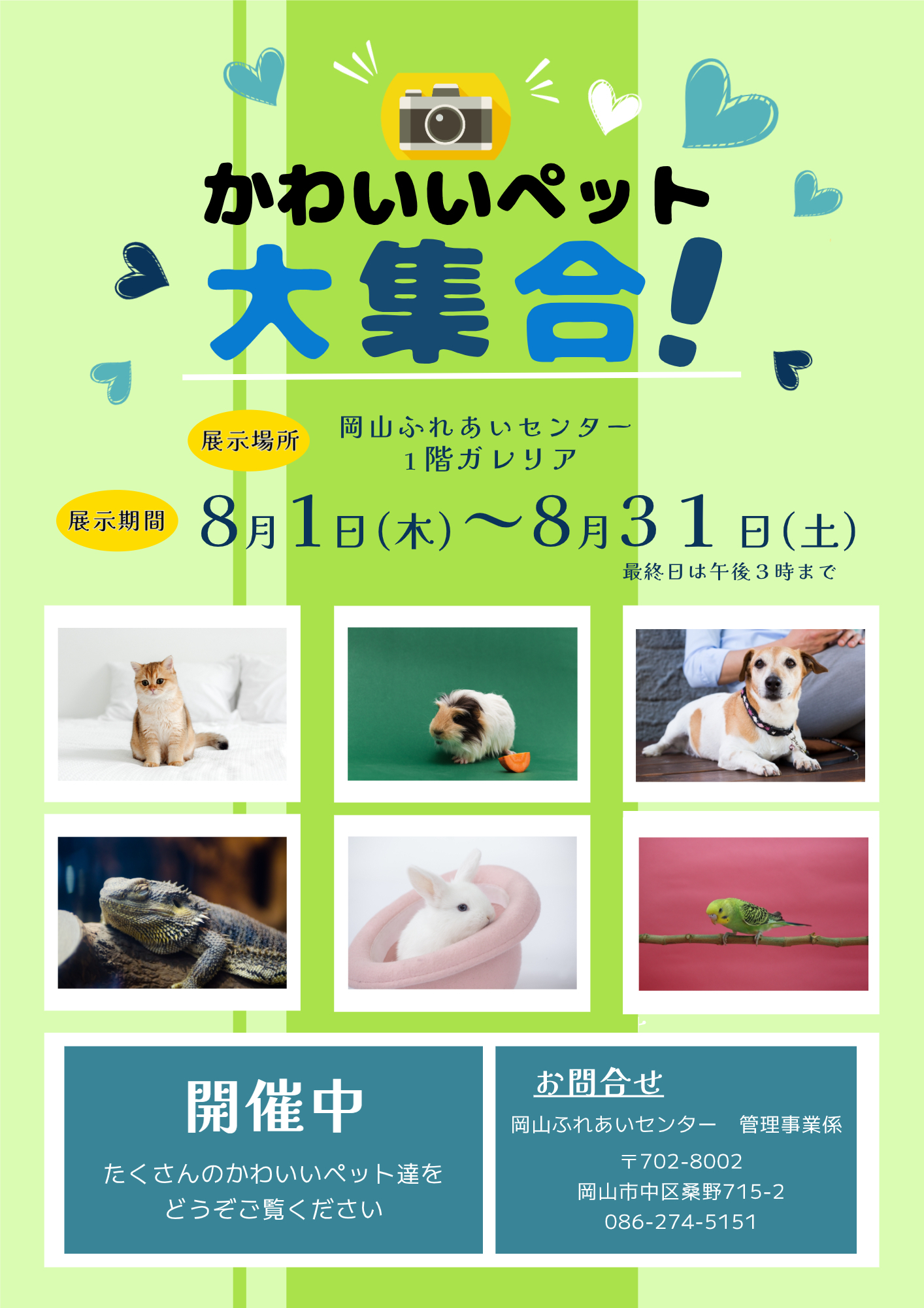 かわいいペット大集合！ちらし