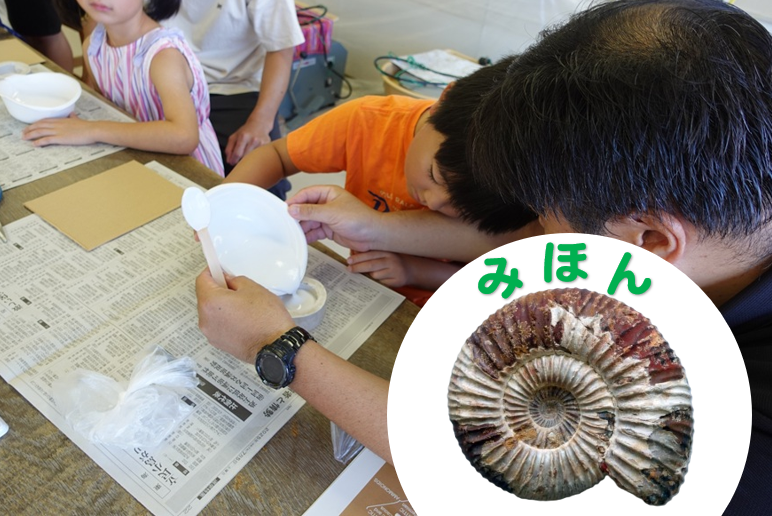 アンモナイトの化石レプリカの写真