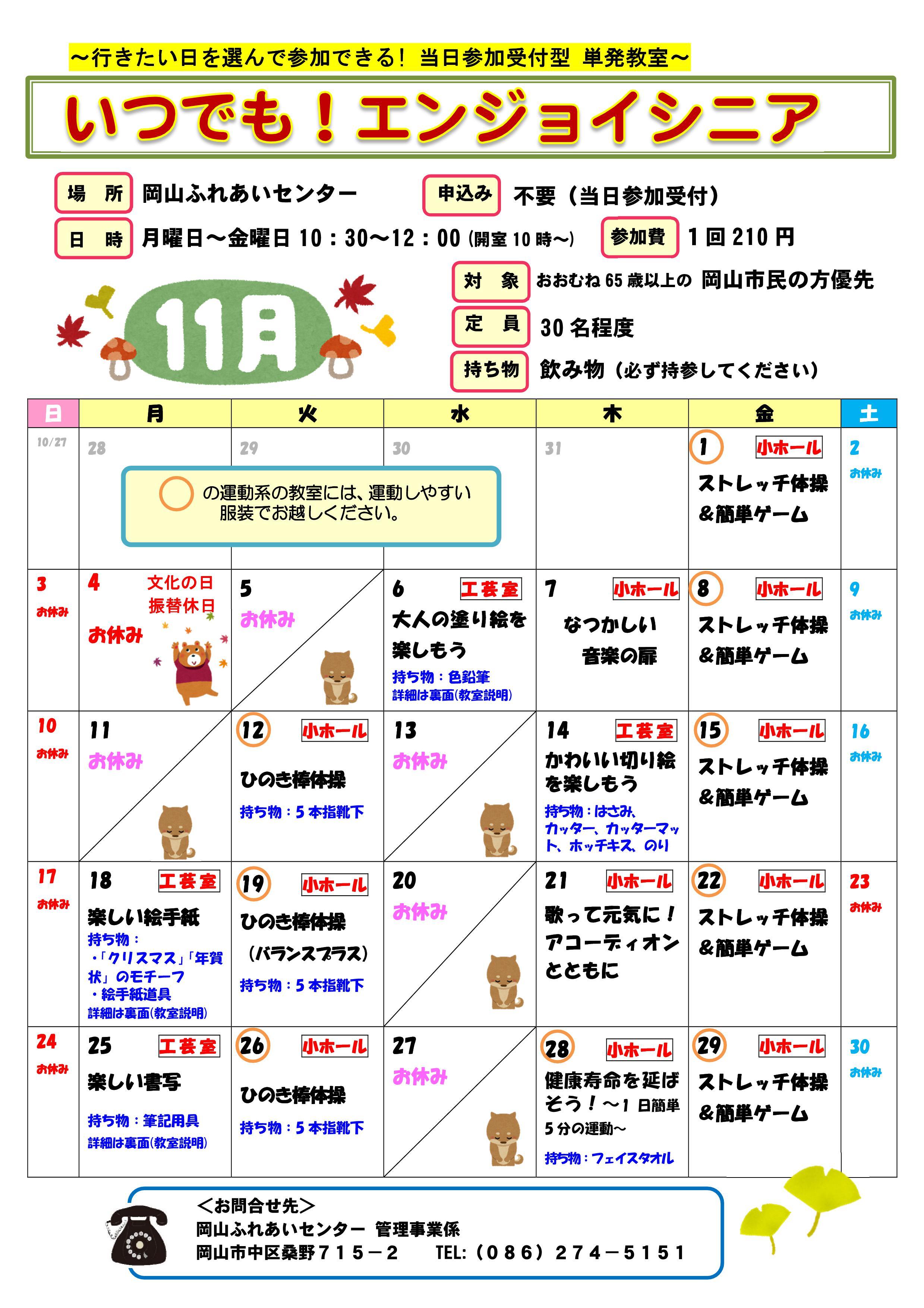 いつでも！エンジョイシニア11月のちらし