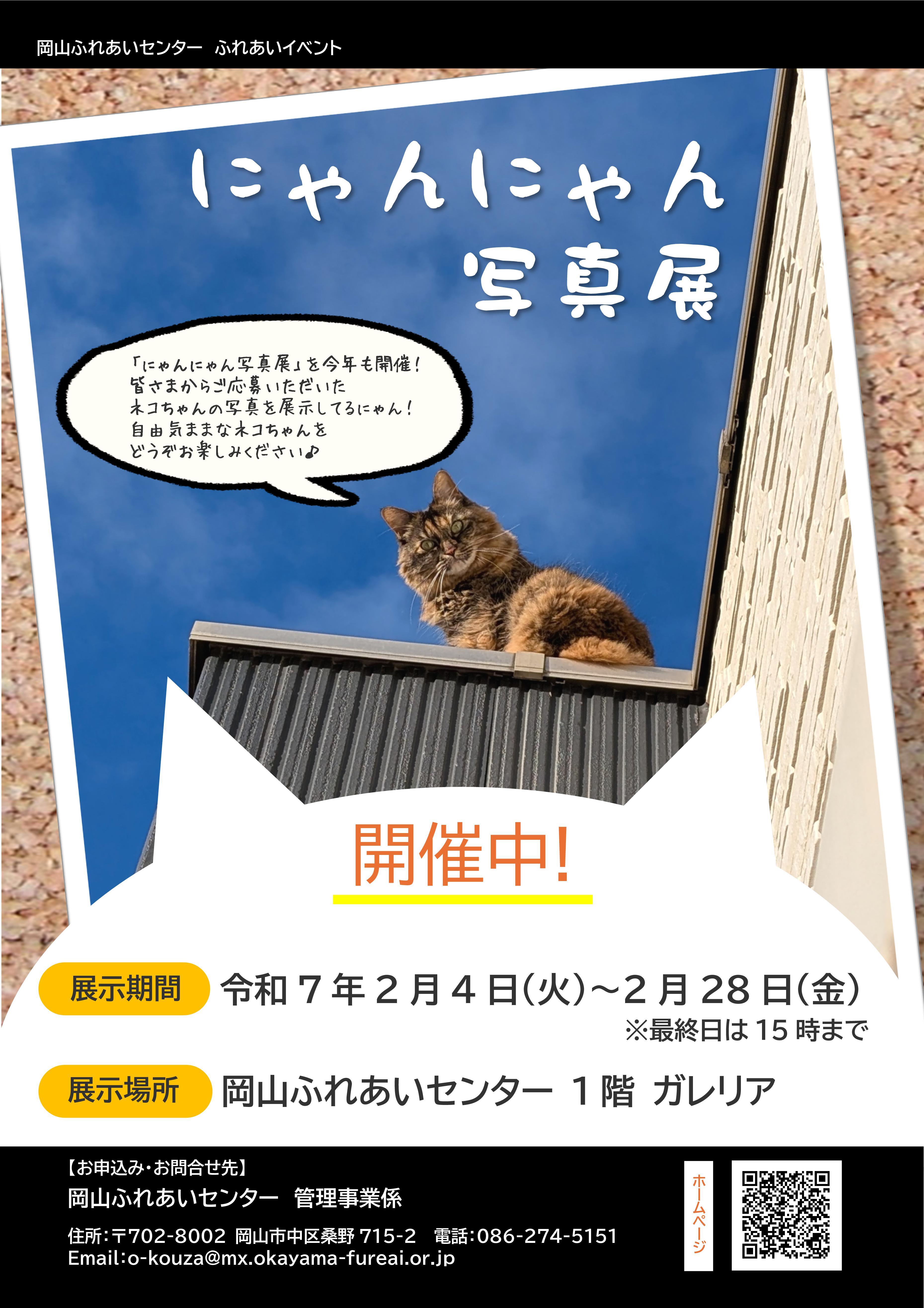 わんわん写真展のちらし