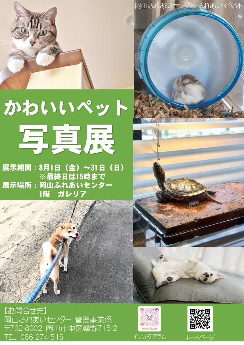 かわいいペット写真展ちらし