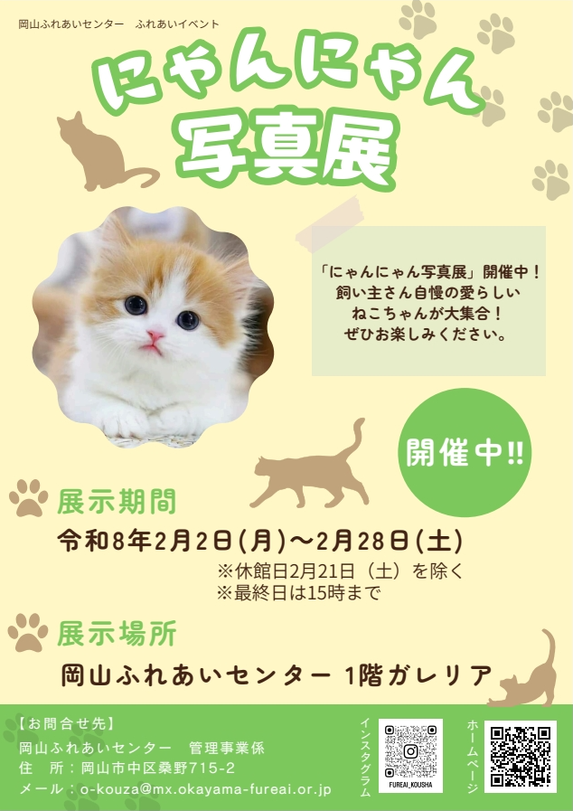 にゃんにゃん写真展のちらし