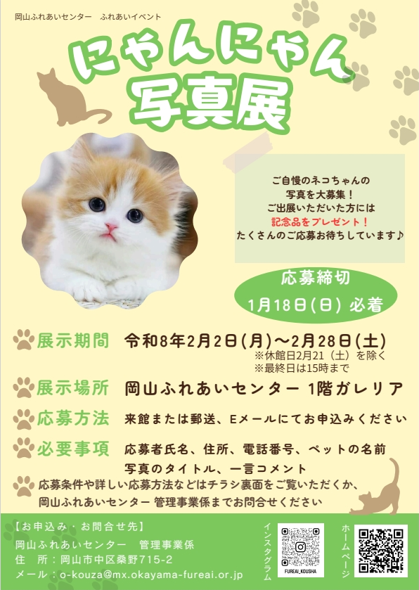 にゃんにゃん写真展のちらし